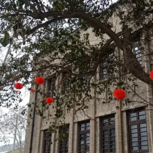 灯笼挂，年味起！长乐塬里迎新春~