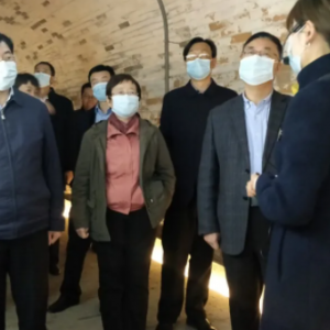 金台区迎接国家公共文化服务体系示范区创新发展复核检查，专家组走进长乐塬 ...